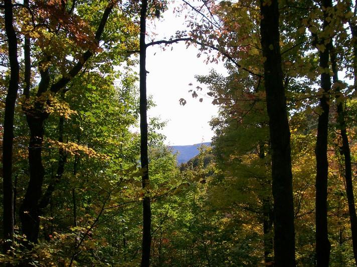 Lot 220 Jason Road Pikeville, TN 37367 - Photo 43 of 45 100_1283