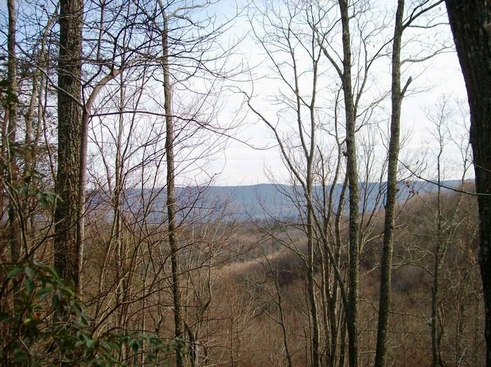 Lot 220 Jason Road Pikeville, TN 37367 - Photo 6 of 45 100_1490