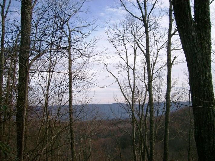 Lot 220 Jason Road Pikeville, TN 37367 - Photo 7 of 45 100_1488