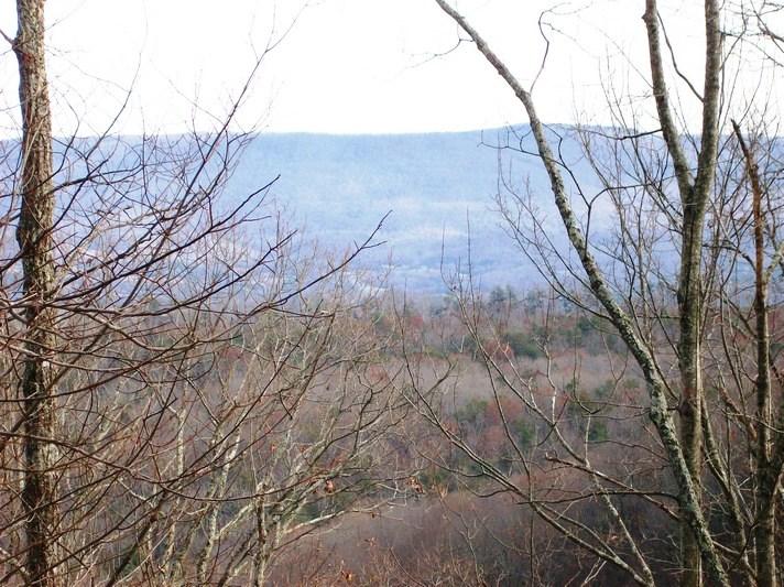 Lot 220 Jason Road Pikeville, TN 37367 - Photo 8 of 45 100_1483