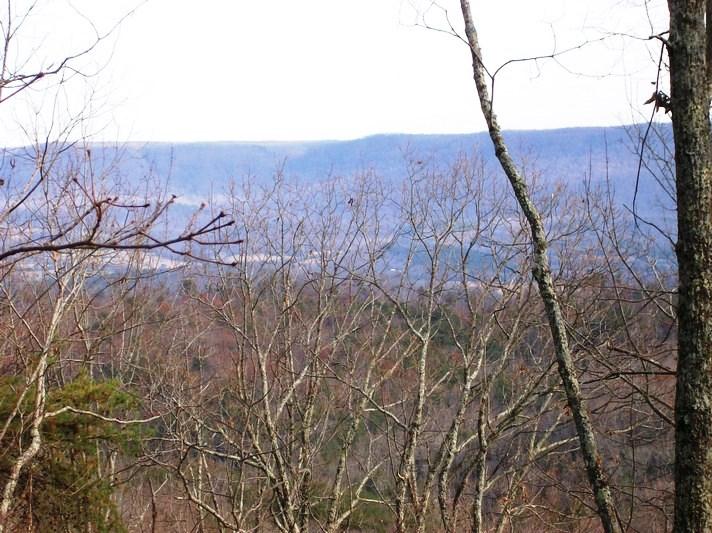 Lot 220 Jason Road Pikeville, TN 37367 - Photo 9 of 45 100_1484