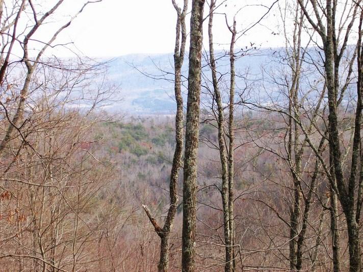 Lot 220 Jason Road Pikeville, TN 37367 - Photo 10 of 45 100_1480