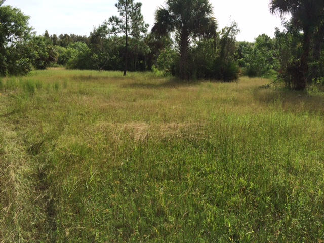 Tbd Tilton Road Port St. Lucie, FL 34952 - Photo 1 of 5 Land