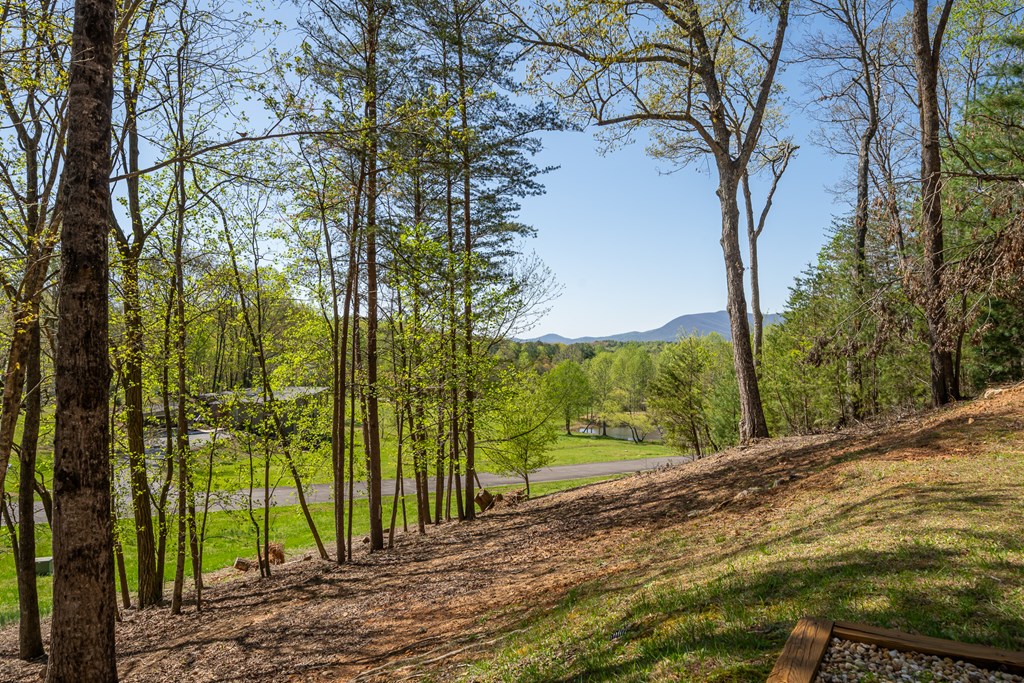 40 Pond Path Ellijay, GA 30536 - Photo 3 of 53 Gallery Image 3