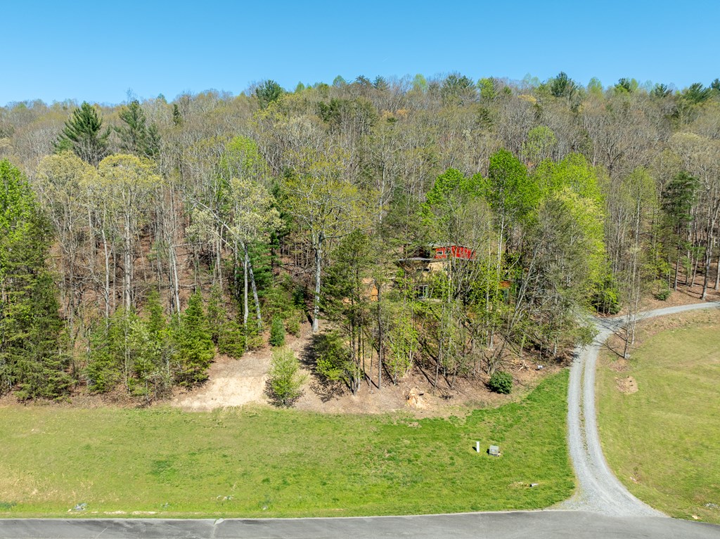 40 Pond Path Ellijay, GA 30536 - Photo 45 of 53 Gallery Image 45