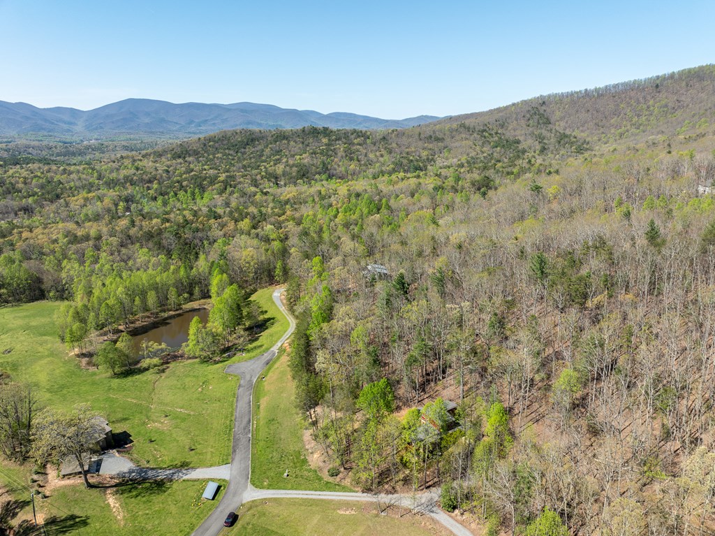 40 Pond Path Ellijay, GA 30536 - Photo 47 of 53 Gallery Image 47
