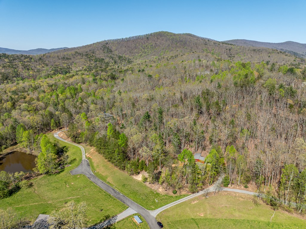 40 Pond Path Ellijay, GA 30536 - Photo 49 of 53 Gallery Image 49
