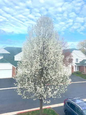 $405,000 | 106 Pembroke Circle, Unit 106, Lake Bluff, IL 60044