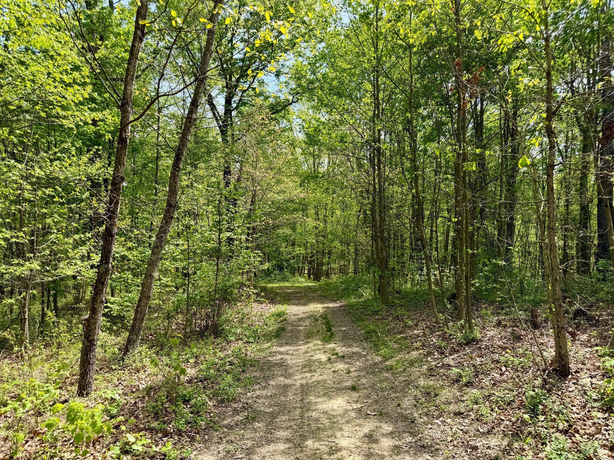 1271 A Tunnel Ridge Road Grayson, KY 41143 - Photo 110 of 134 Trail