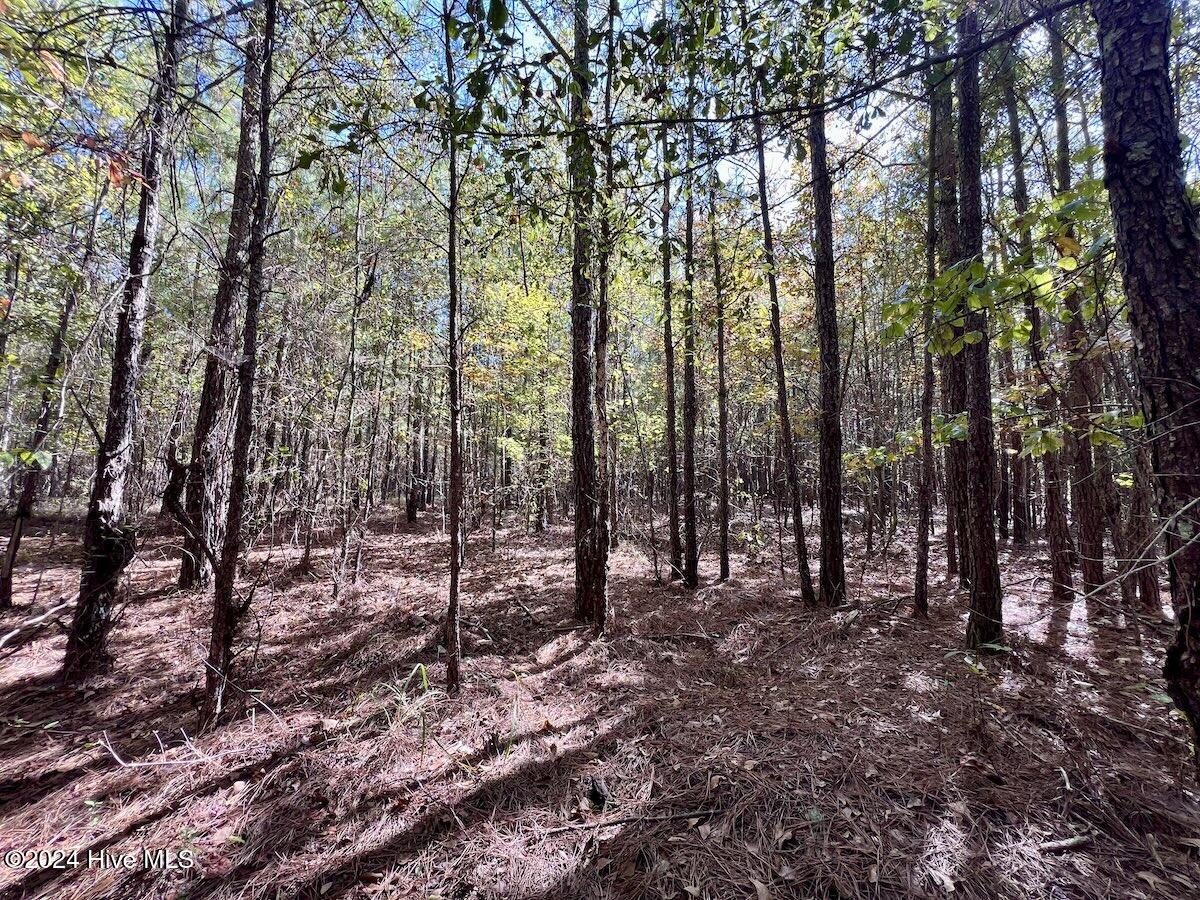 2 River Road Grifton, NC 28530 - Photo 20 of 36 19