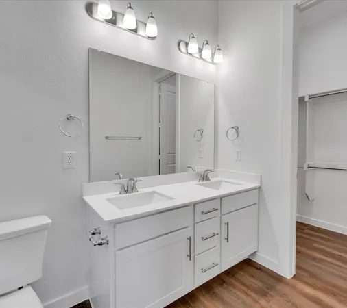 a bathroom with a sink double vanity and a mirror