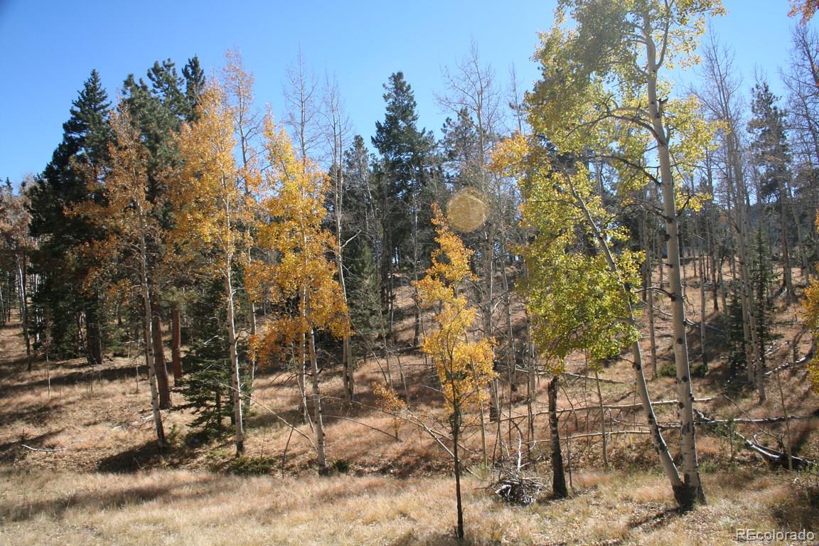 1992 Singletree Road Hartsel, CO 80449 - Photo 11 of 29