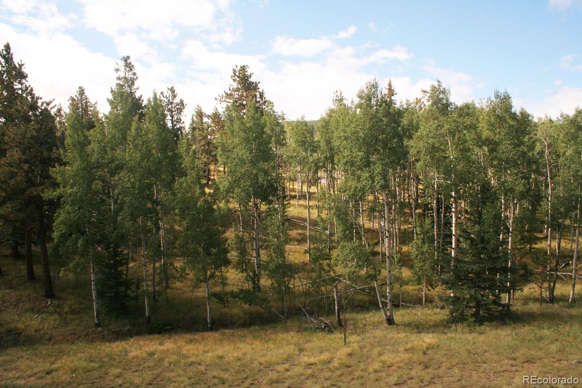 1992 Singletree Road Hartsel, CO 80449 - Photo 27 of 29