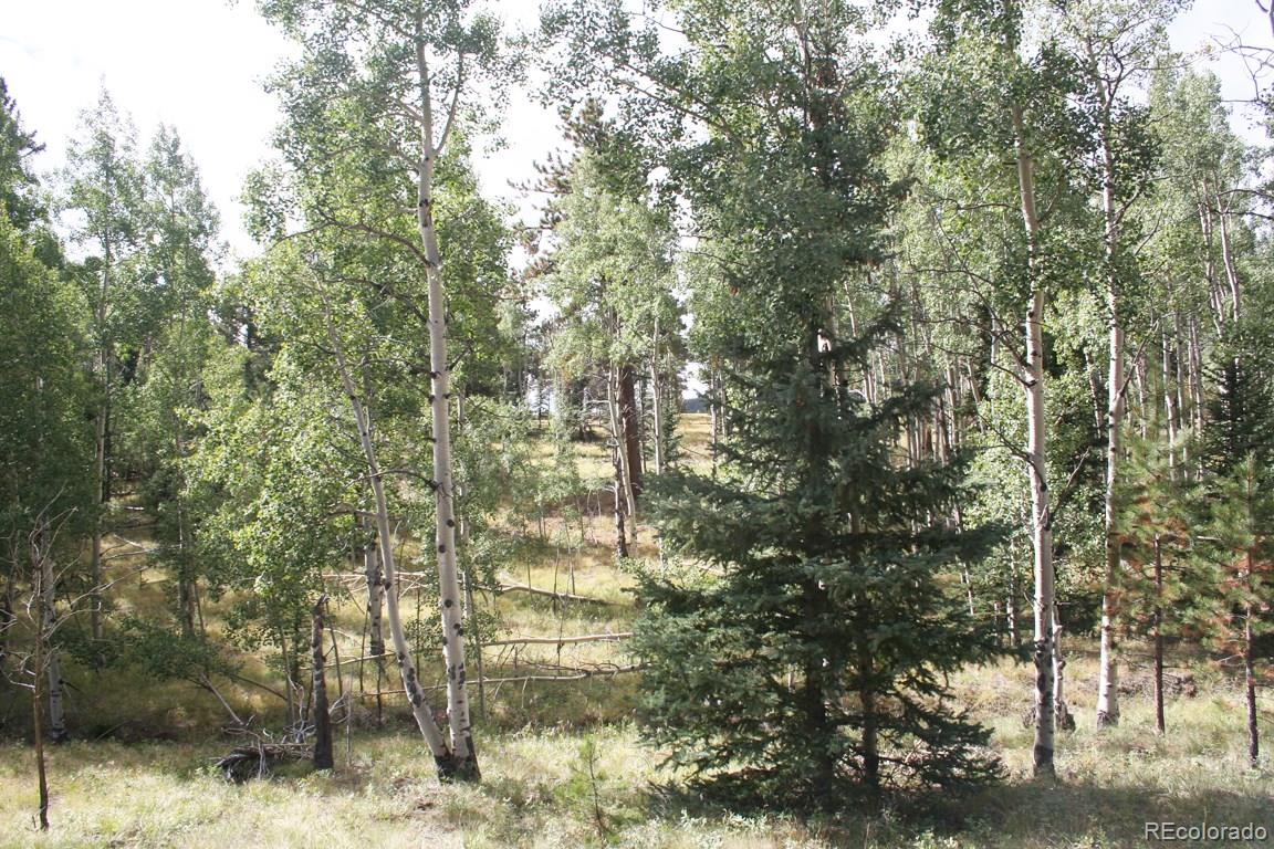 1992 Singletree Road Hartsel, CO 80449 - Photo 3 of 29