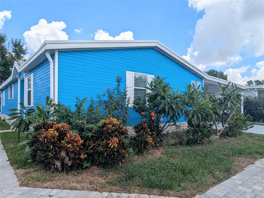 3024 Manatee Road Tavares, FL 32778 - Photo 4 of 39 a view of a backyard with plants and palm trees