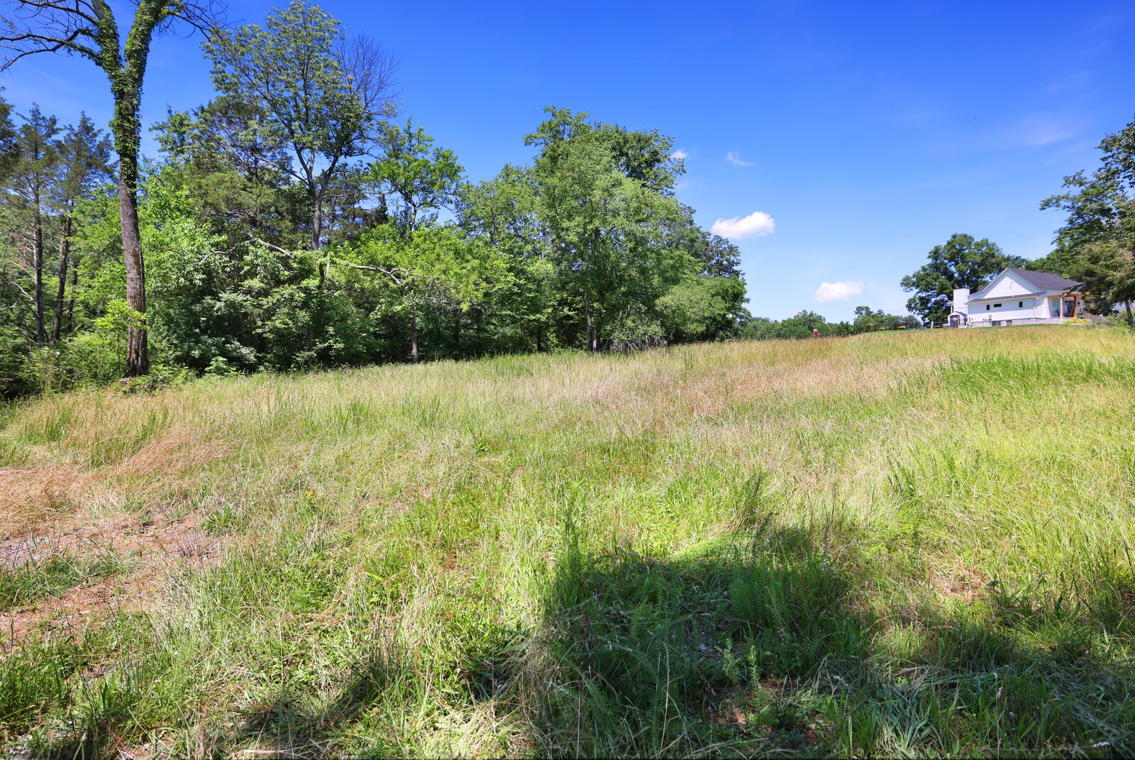 0 Wallace Road Gallatin, TN 37066 - Photo 6 of 23
