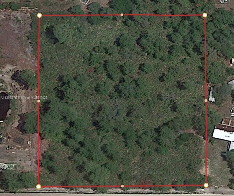 521 Gurney Road Venus, FL 33960 - Photo 3 of 3 a view of a backyard