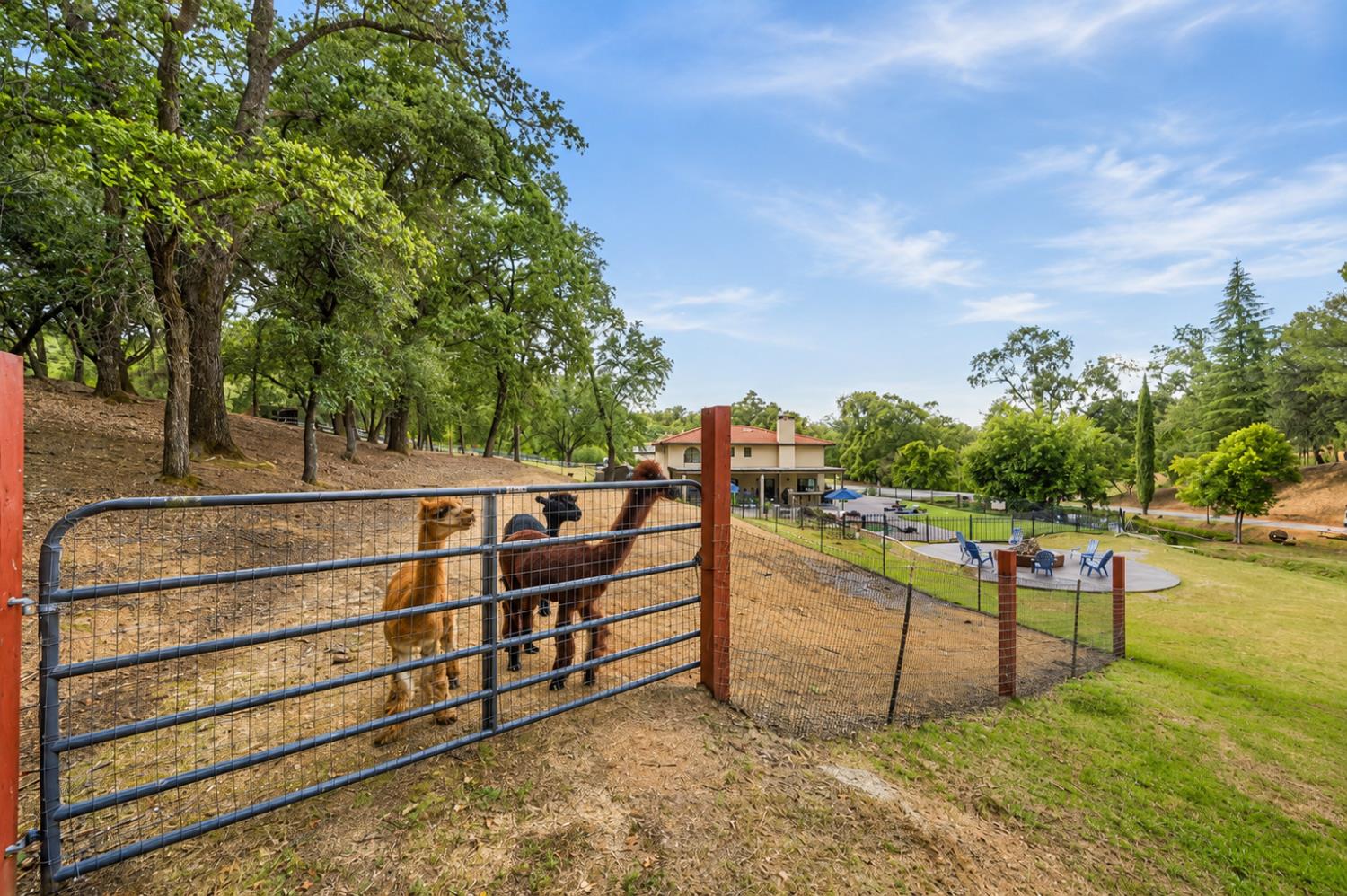 3340 Garden Bar Road Lincoln, CA 95648 - Photo 12 of 56 a view of a park with large trees
