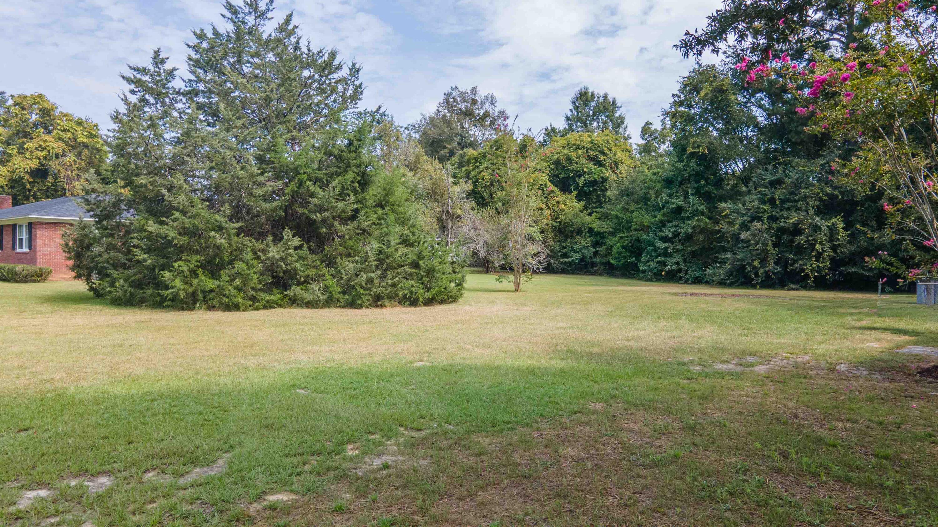 91 Wisteria Street Denmark, SC 29042 - Photo 49 of 59
