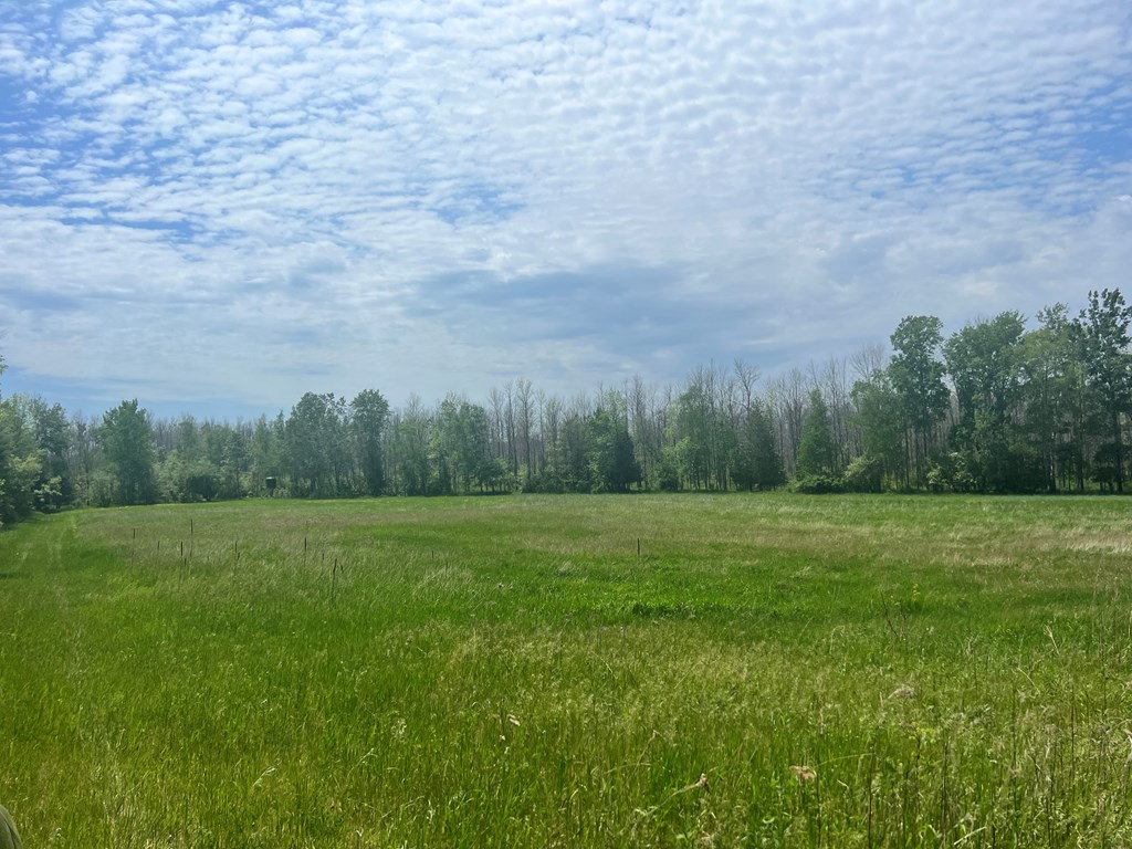 East Center Road Forestville, WI 54213 - Photo 2 of 15