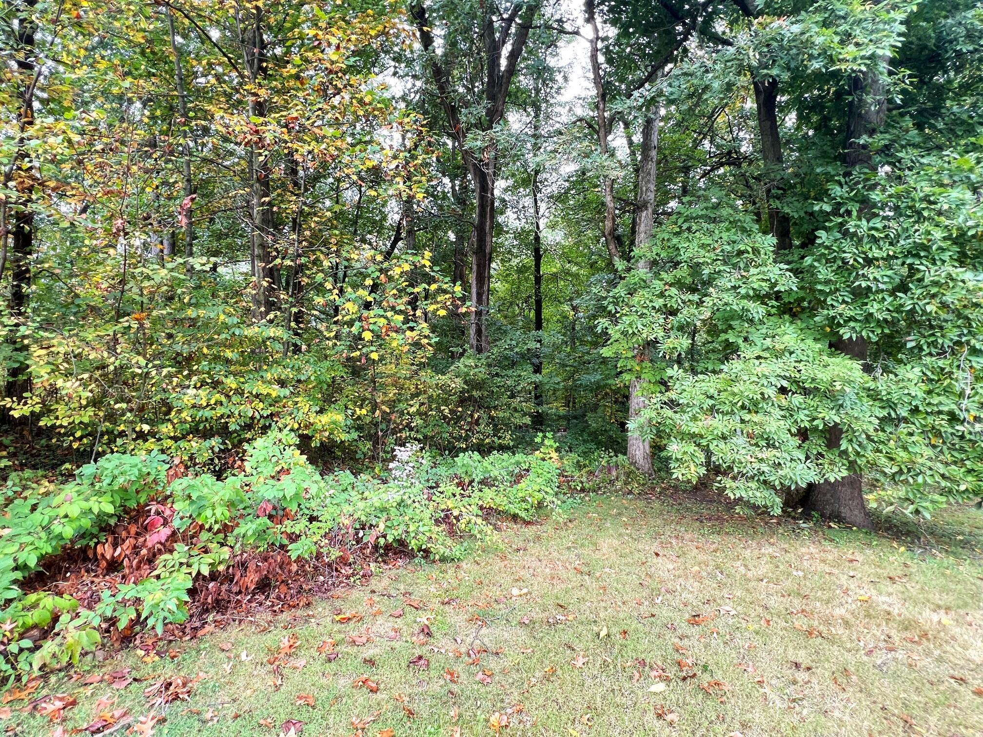 59446 Ferguson Road Three Rivers, MI 49093 - Photo 45 of 46 Land