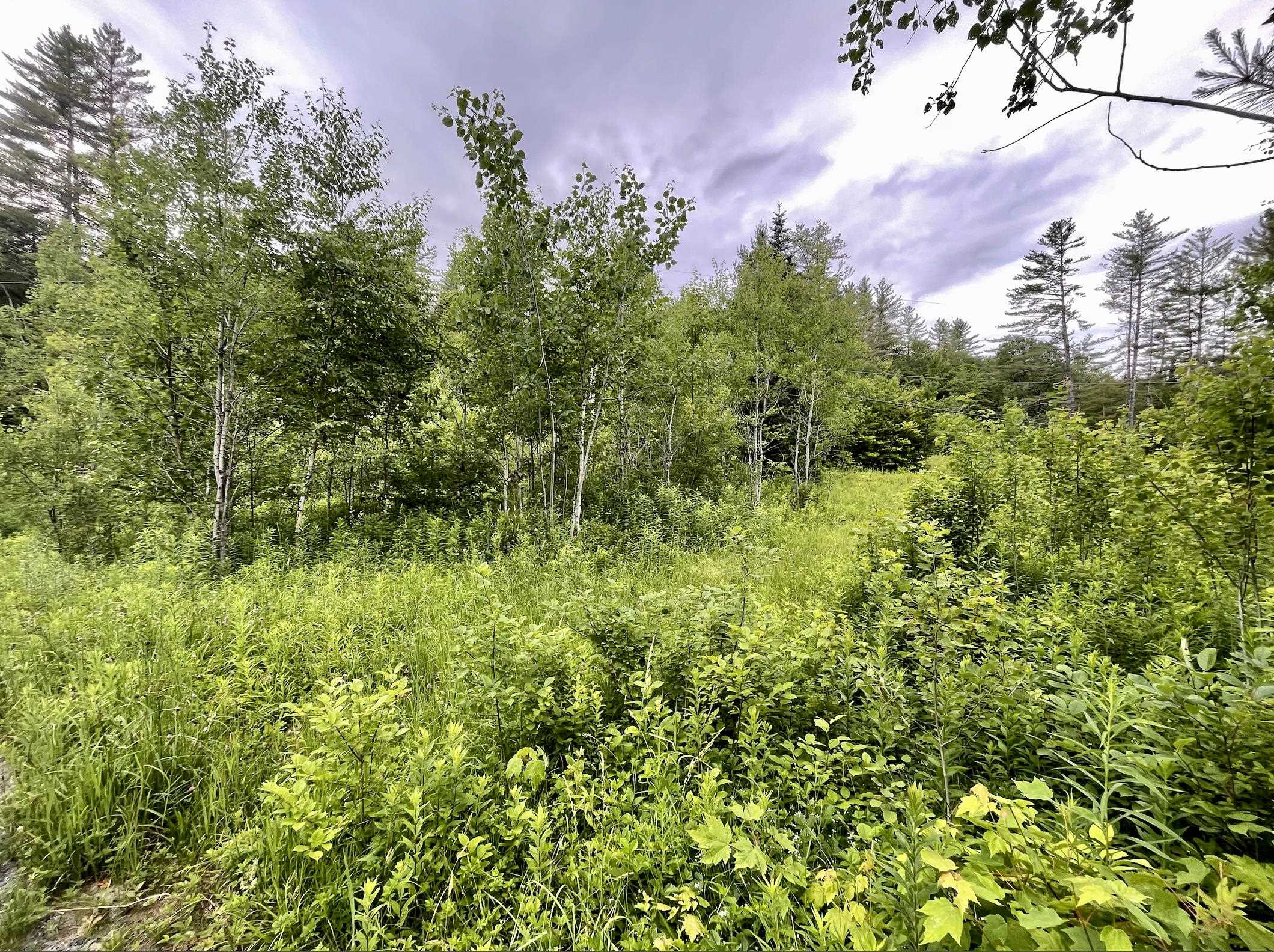 4769 Pikes Falls Road Jamaica, VT 05343 - Photo 6 of 9 Gallery Image 6