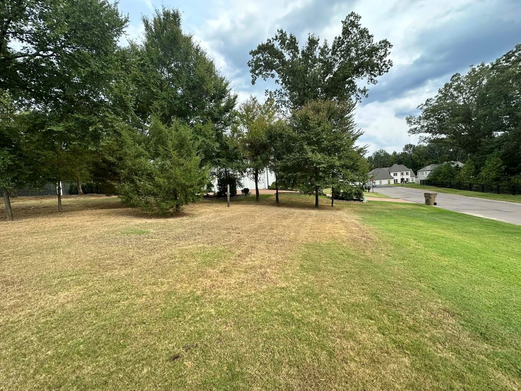 450 Sugaree Lane Collierville, TN 38017 - Photo 3 of 11 a view of outdoor space with garden and trees
