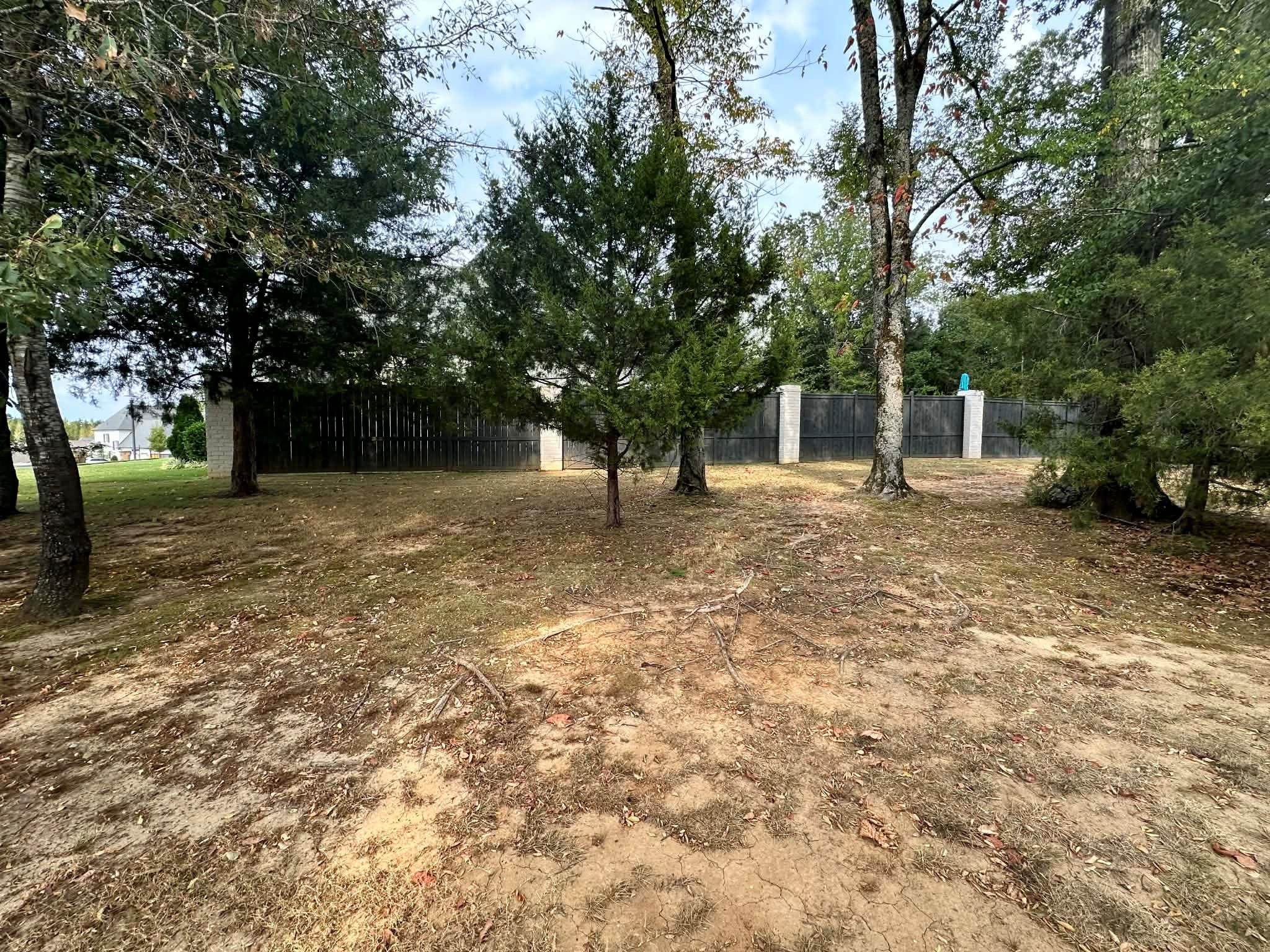 450 Sugaree Lane Collierville, TN 38017 - Photo 4 of 11