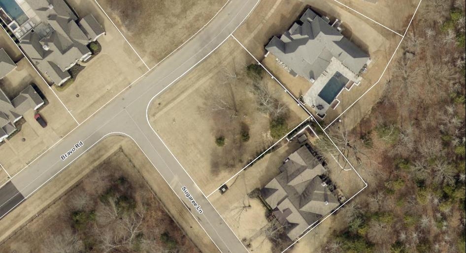 450 Sugaree Lane Collierville, TN 38017 - Photo 9 of 11 view of a small yard