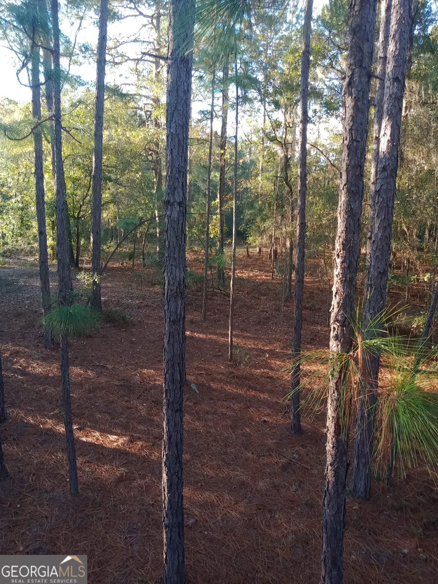 92 Graham Lane Claxton, GA 30417 - Photo 17 of 18 a view of outdoor space and garden