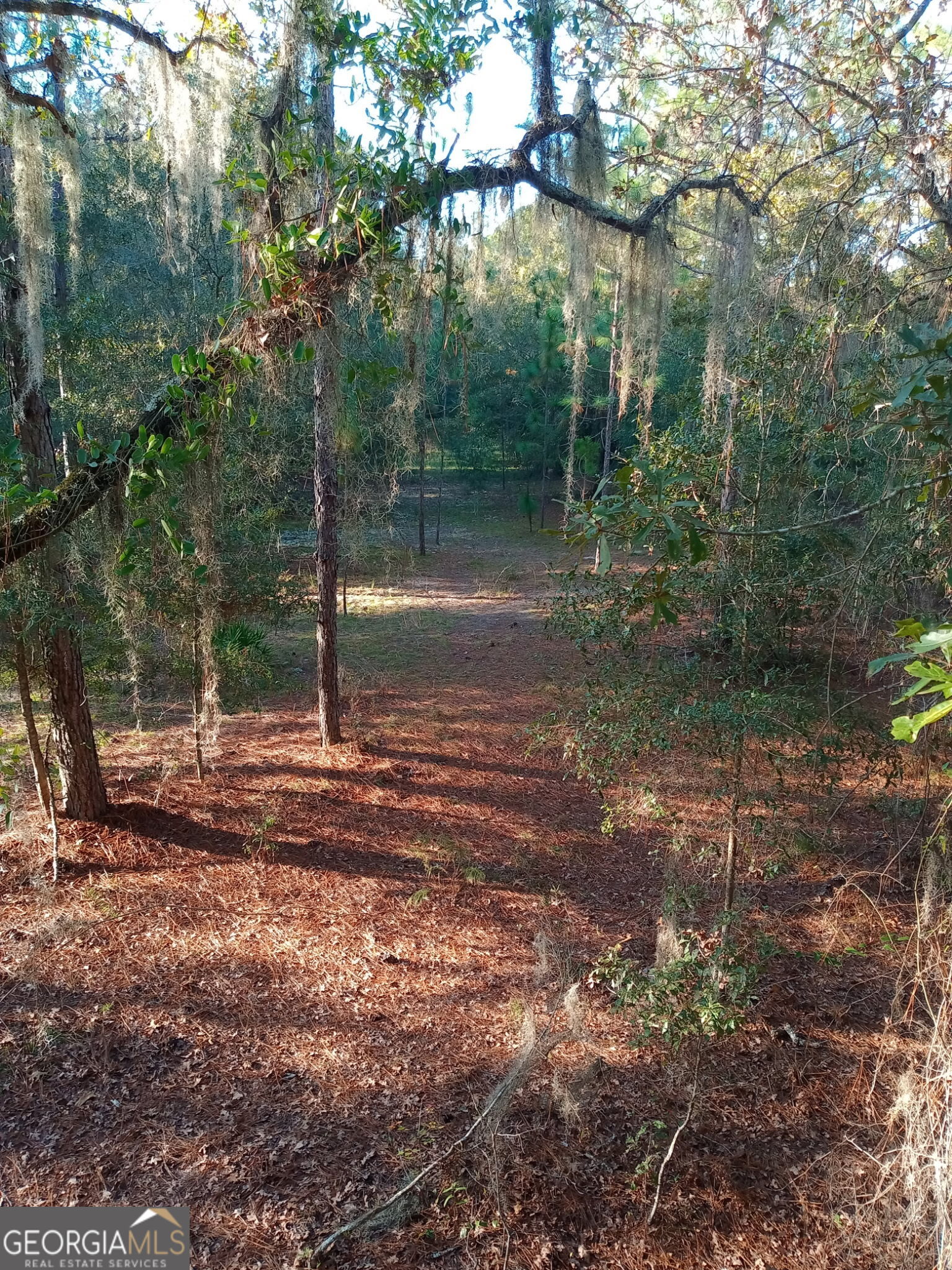 92 Graham Lane Claxton, GA 30417 - Photo 18 of 18 a backyard of a house with lots of green space