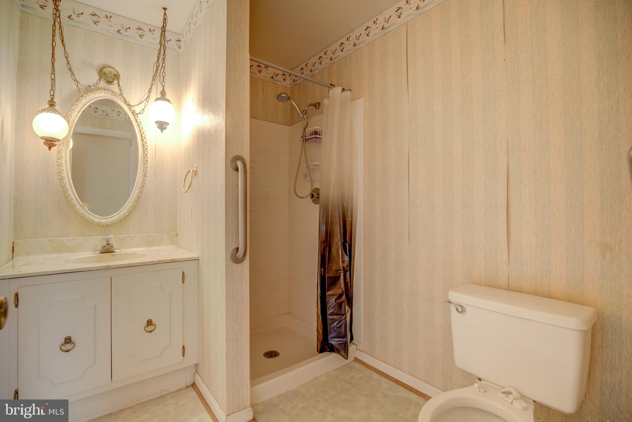 11809 Stuart Mill Road Oakton, VA 22124 - Photo 47 of 76 Hall Bath 2 w stand up shower