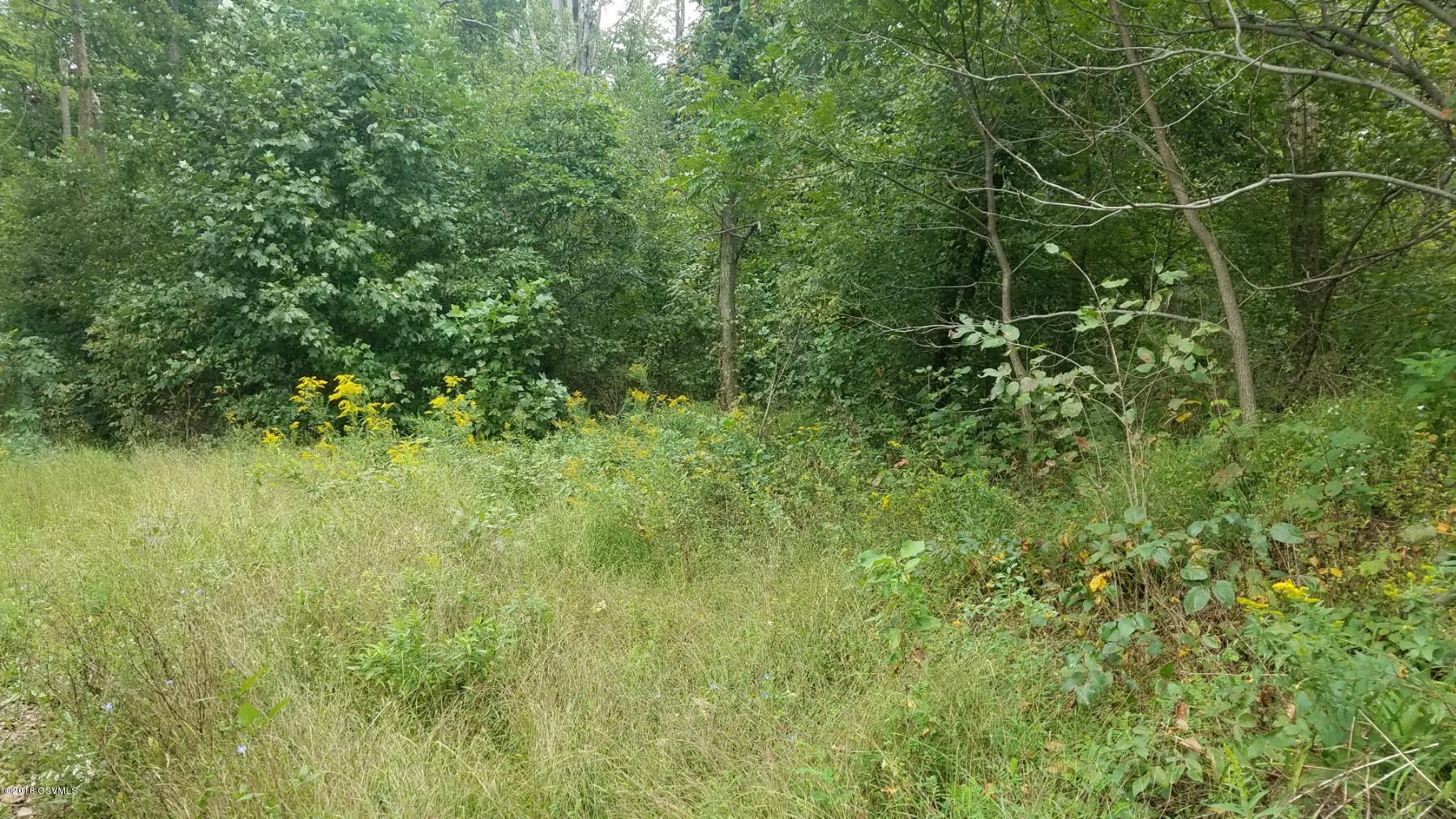 Rattlesnake Road Dornsife, PA 17823 - Photo 2 of 4 Gallery Image 2