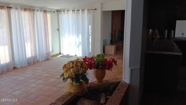 a living room with furniture and a potted plant