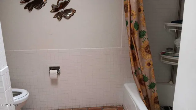 a bathroom with a shower and toilet