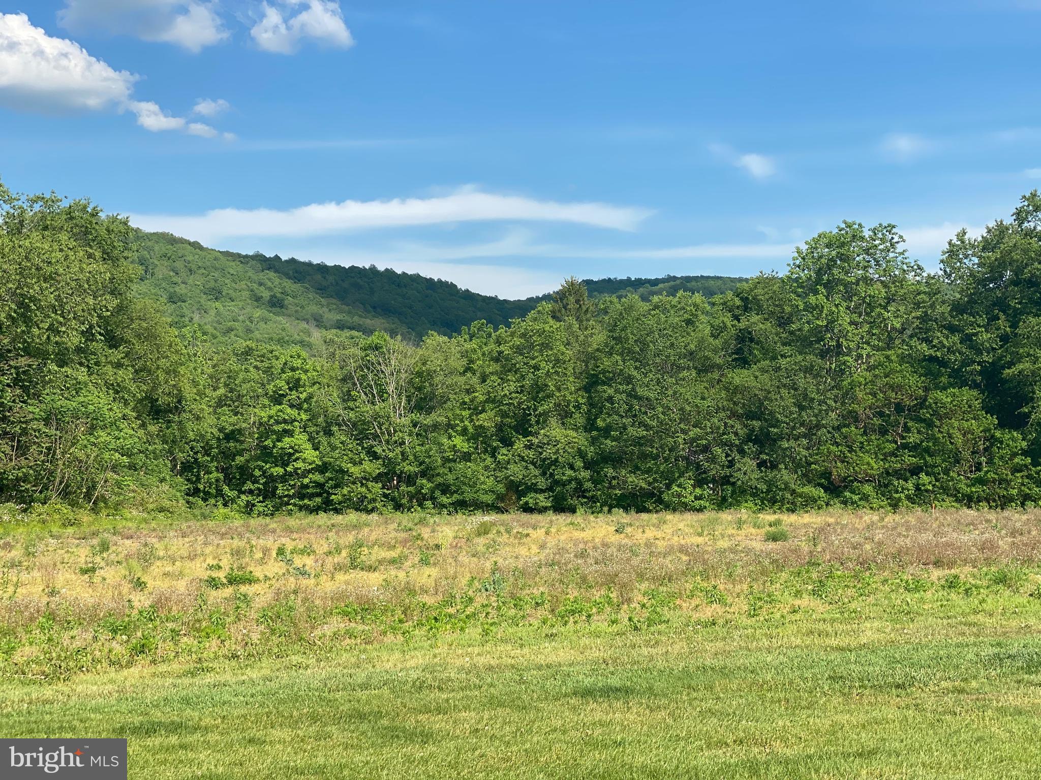 Turkeyfoot Road Confluence, PA 15424 - Photo 4 of 17