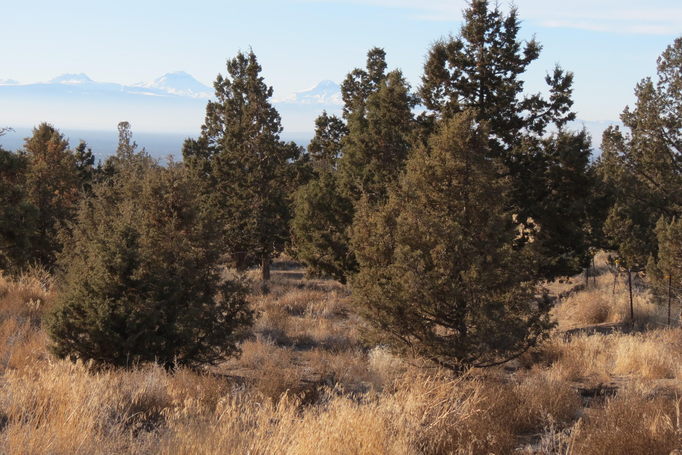13870 South Sego Lily Road Powell Butte, OR 97753 - Photo 29 of 35 IMG_7777