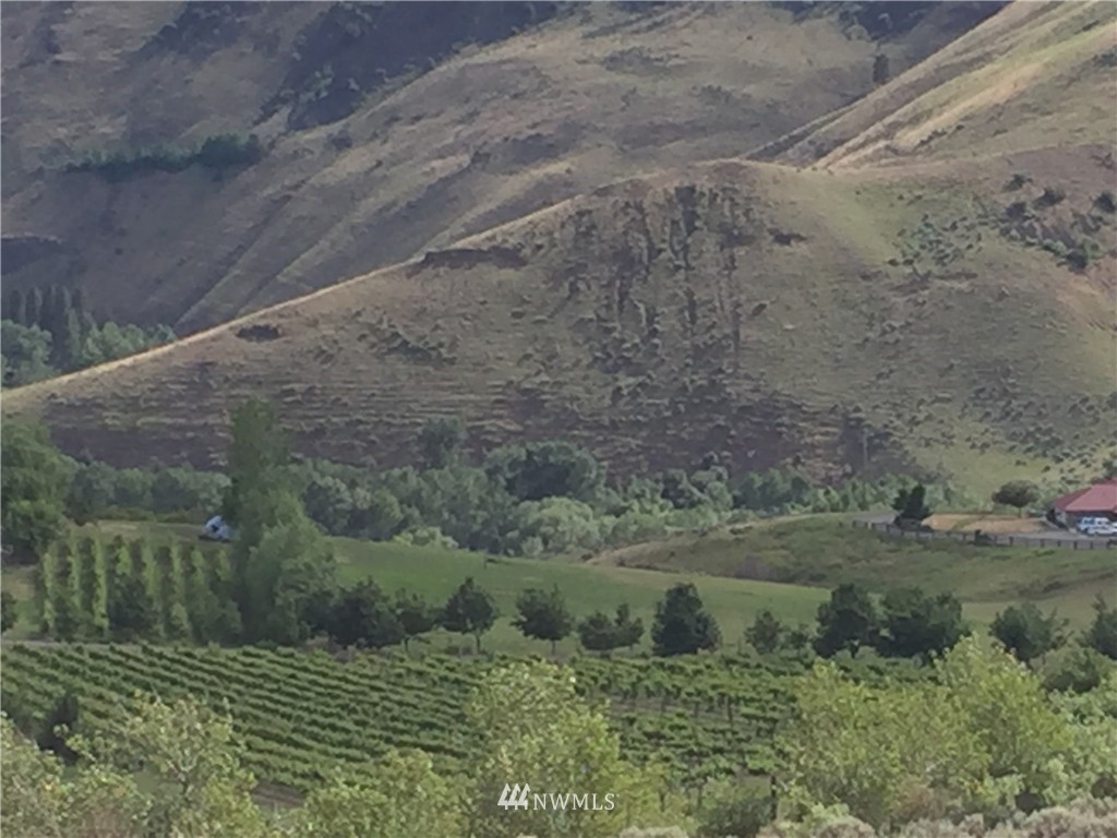 3580 Tozer Road Ellensburg, WA 98926 - Photo 10 of 14 Gallery Image 10