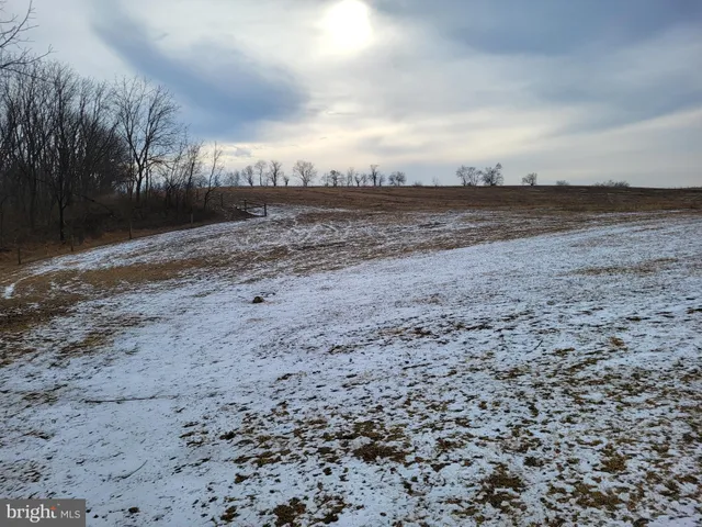 a view of a dry yard with wooden fence