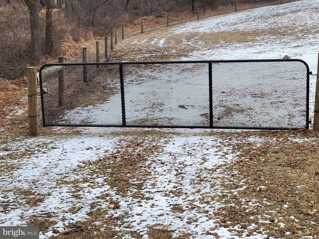 a view of a dry yard