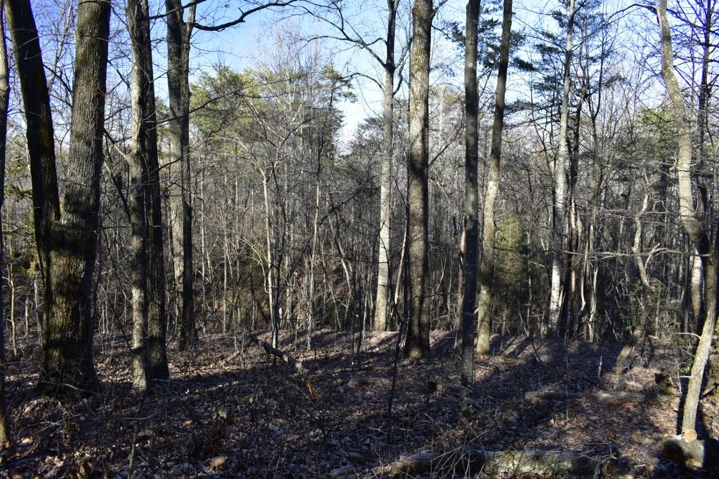 1120 Durham Road Rising Fawn, GA 30738 - Photo 18 of 23 _DSC0535 (1024x683)
