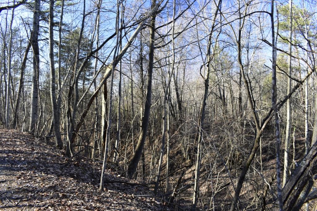 1120 Durham Road Rising Fawn, GA 30738 - Photo 20 of 23 _DSC0537 (1024x683)