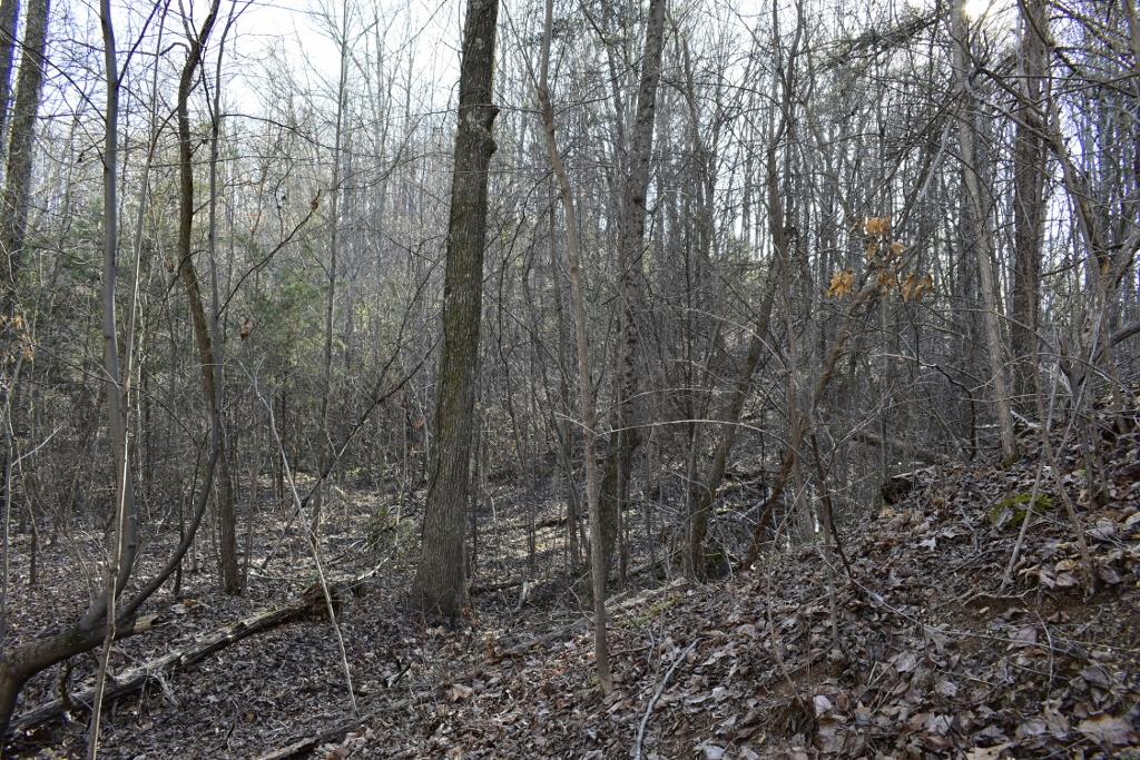 1120 Durham Road Rising Fawn, GA 30738 - Photo 9 of 23 _DSC0522 (1024x683)