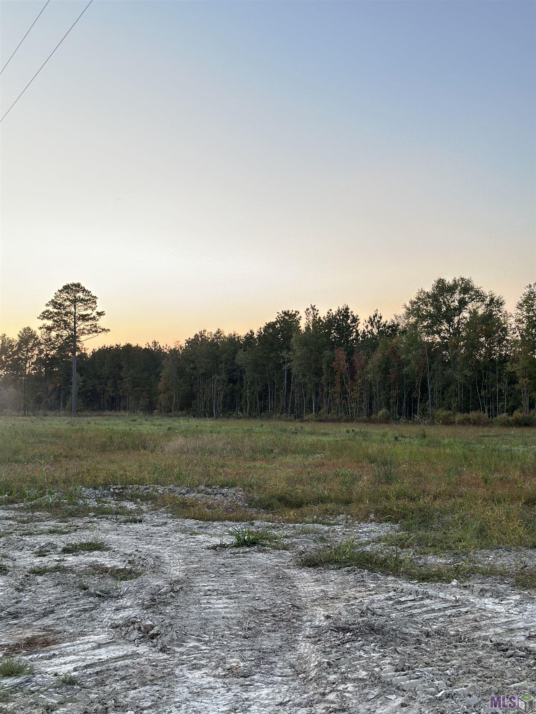 30679 Cane Market Road Walker, LA 70785 - Photo 1 of 2 Gallery Image 1