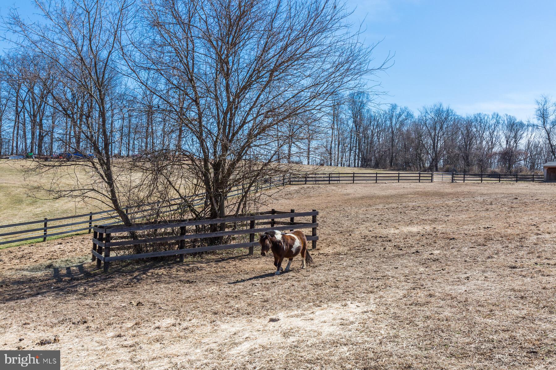 1835 Gablehammer Road Westminster, MD 21157 - Photo 31 of 40 Fenced pastures
