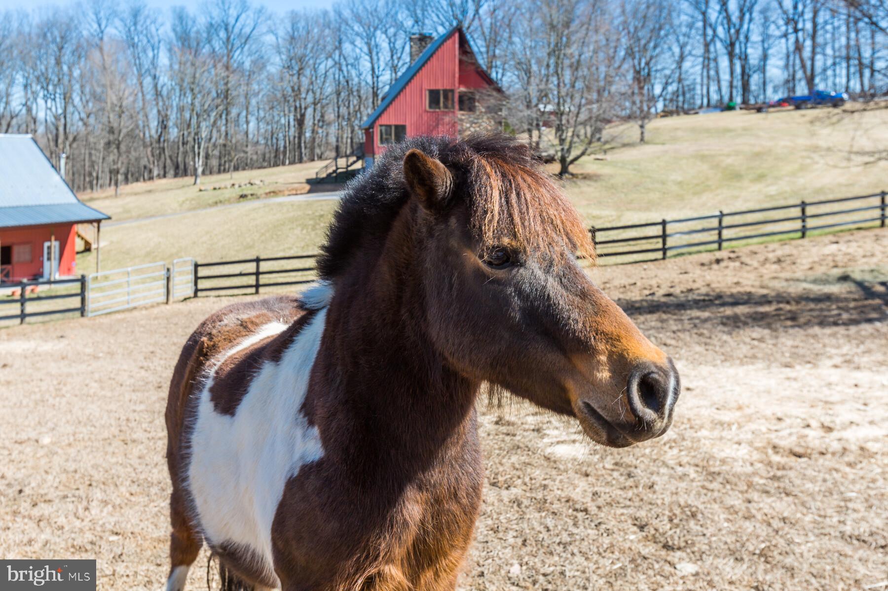 1835 Gablehammer Road Westminster, MD 21157 - Photo 32 of 40 Perfect property to bring your horses
