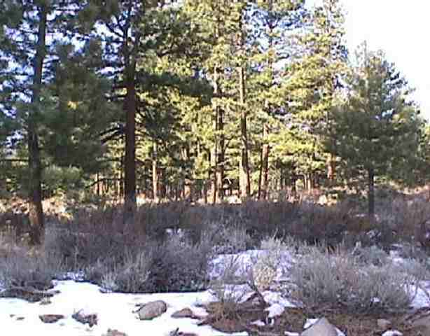 175 Yellow Pine Circle Reno, NV 89511 - Photo 1 of 1 Gallery Image 1