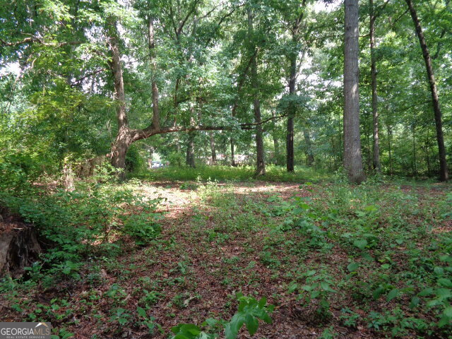 2411 Kesler Road Carnesville, GA 30521 - Photo 5 of 11