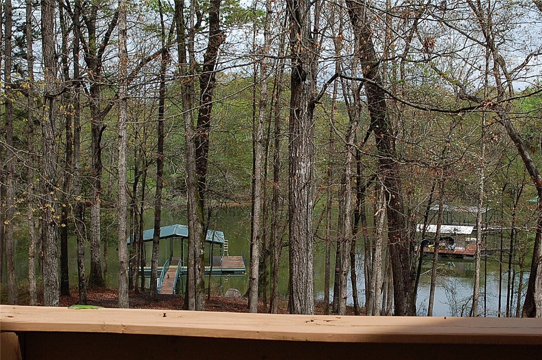 330 Dixie Creek Road Hartwell, GA 30643 - Photo 19 of 30 Gallery Image 19