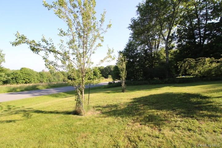 545 Stump Pond Road Livingston Manor, NY 12758 - Photo 10 of 40